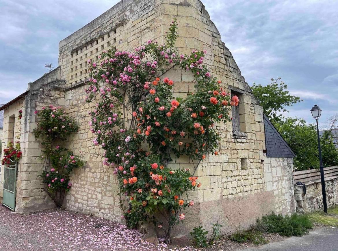 Le Colombier Daire Le Coudray-Macouard Dış mekan fotoğraf